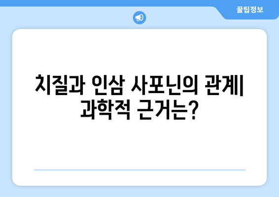 인삼 사포닌이 치질 통증 완화에 도움이 될까요? | 치질, 인삼, 사포닌, 통증 완화, 효능