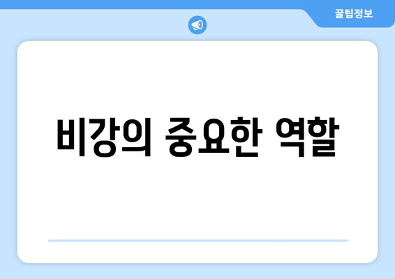 비강의 중요한 역할