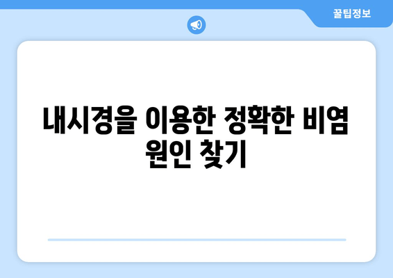 내시경을 이용한 정확한 비염 원인 찾기