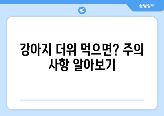 강아지 더위 먹으면? 주의 사항 알아보기