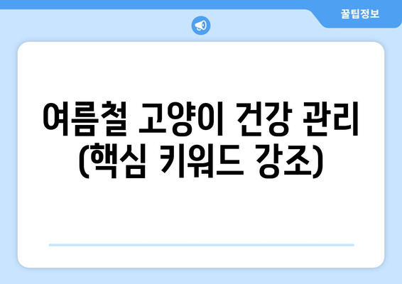 여름철 고양이 건강 관리 (핵심 키워드 강조)