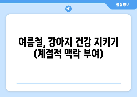 여름철, 강아지 건강 지키기 (계절적 맥락 부여)