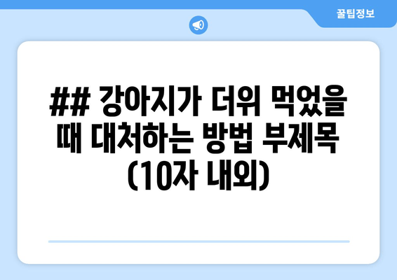 ## 강아지가 더위 먹었을 때 대처하는 방법 부제목 (10자 내외)