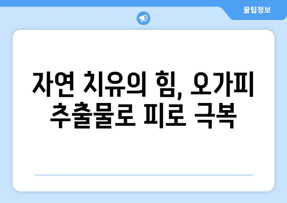 오가피 추출물로 피로를 이겨내고 활력을 되찾는 5가지 방법 | 피로 회복, 활력 증진, 건강 식품, 자연 치유