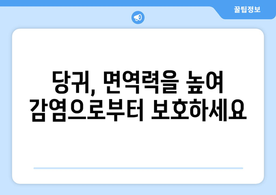 당귀| 면역력 강화와 감염 예방, 자연의 강력한 보호막 | 건강, 면역, 감기 예방, 천연 솔루션