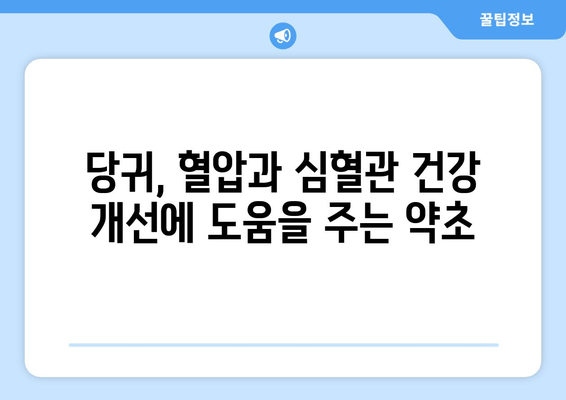 당귀의 효능| 혈압 조절과 심혈관 건강을 위한 허브 | 당귀, 혈압, 심혈관 건강, 건강 정보, 허브