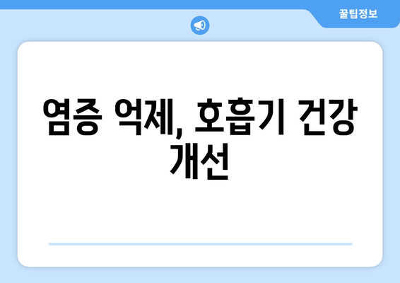 염증 억제, 호흡기 건강 개선