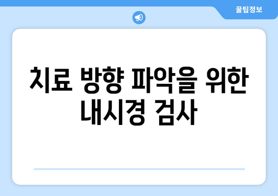 치료 방향 파악을 위한 내시경 검사