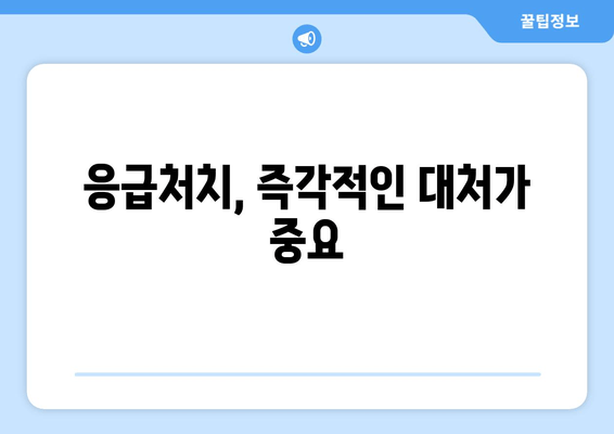 응급처치, 즉각적인 대처가 중요