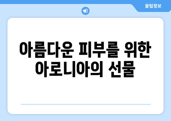 아로니아 추출물| 건강한 노화의 동맹자 | 항산화 효능, 면역력 강화, 피부 건강