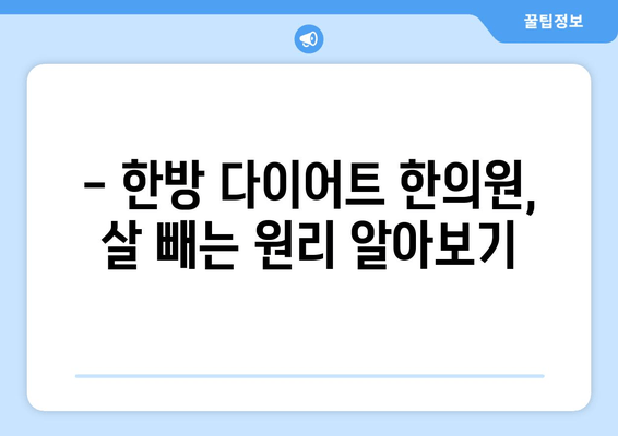 한방 다이어트 한의원, 살 빼는 원리는? | 체질별 맞춤 다이어트, 안전하고 건강하게