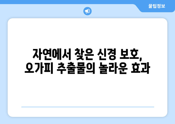 오가피 추출물의 신경 보호 효과| 신경 손상 예방을 위한 과학적 근거 | 오가피, 신경 보호, 신경 손상, 천연 추출물, 건강