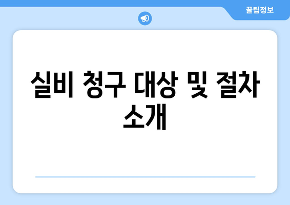 실비 청구 대상 및 절차 소개