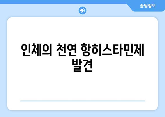 인체의 천연 항히스타민제 발견