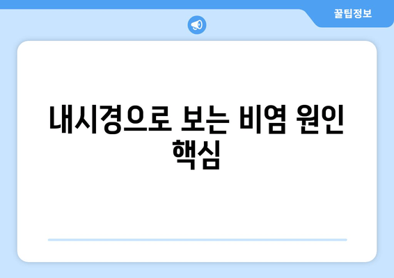 내시경으로 보는 비염 원인 핵심