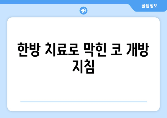 한방 치료로 막힌 코 개방 지침