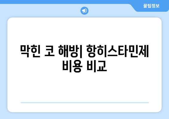 막힌 코 해방| 항히스타민제 비용 비교