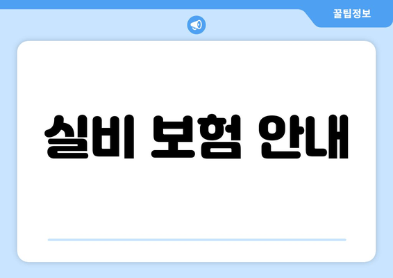 실비 보험 안내