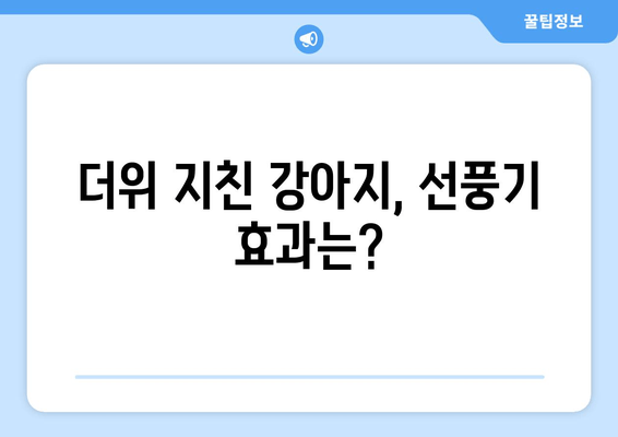 더위 지친 강아지, 선풍기 효과는?