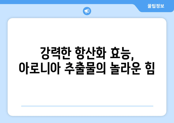 아로니아 추출물| 장수와 건강의 비결 | 항산화 효능, 면역력 강화, 건강 식품