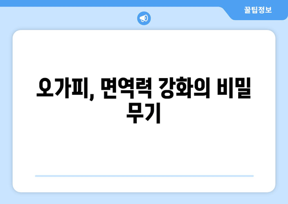 면역력 강화를 위한 오가피 추출물의 놀라운 효능| 과학적 근거와 활용법 | 오가피, 면역력 증진, 건강 기능성, 항산화 효과