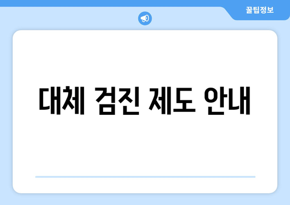 대체 검진 제도 안내