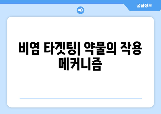 비염 타겟팅| 약물의 작용 메커니즘