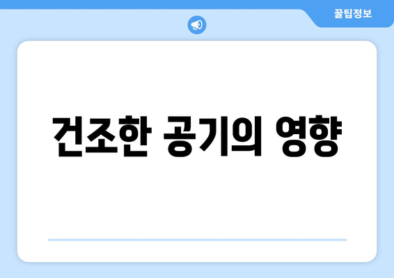 건조한 공기의 영향