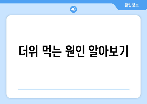 더위 먹는 원인 알아보기