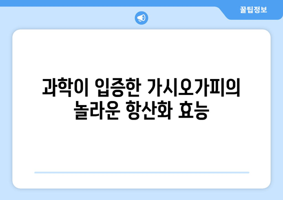 가시오가피의 놀라운 효능| 과학적 연구 결과 총정리 | 건강, 면역력, 항산화, 관절 건강