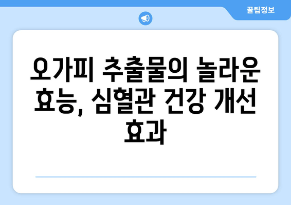 오가피 추출물, 심혈관 건강 지키는 효과적인 방법 | 심혈관 질환 예방, 건강 기능성, 오가피 효능