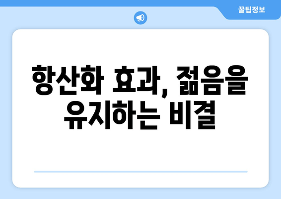 가시오가피 뿌리 파우더| 영양 만점 수퍼푸드의 놀라운 효능 | 건강, 면역력, 항산화, 피로회복