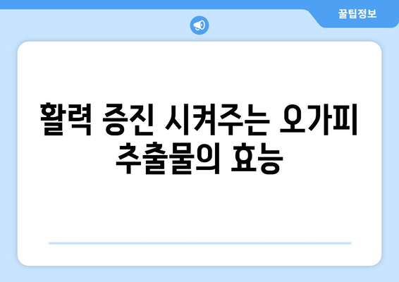 오가피 추출물로 피로를 이겨내고 활력을 되찾는 5가지 방법 | 피로 회복, 활력 증진, 건강 식품, 자연 치유