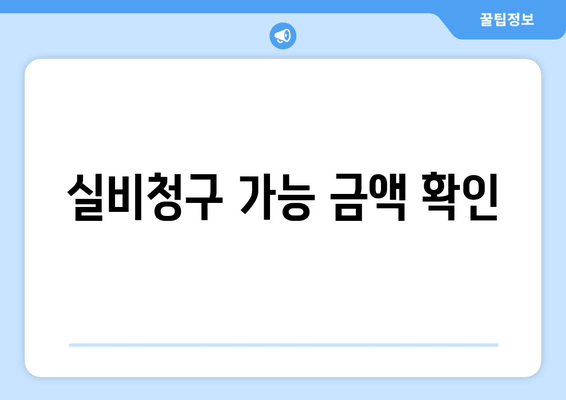 실비청구 가능 금액 확인