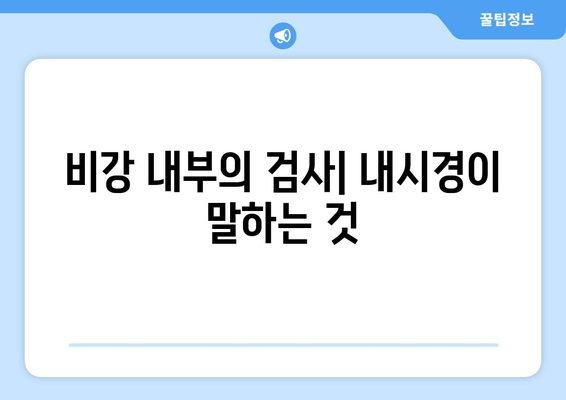 비강 내부의 검사| 내시경이 말하는 것