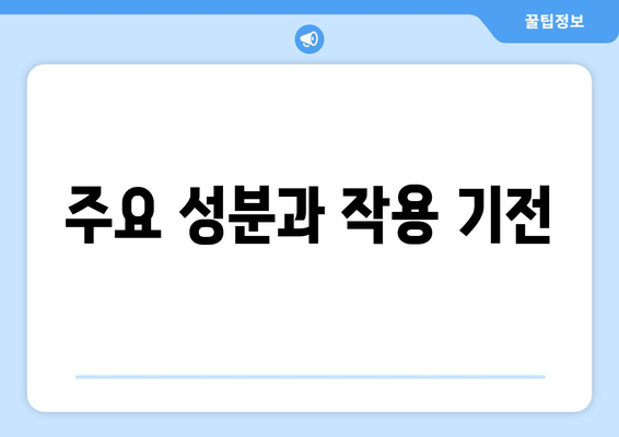 주요 성분과 작용 기전