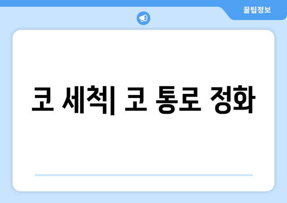 코 세척| 코 통로 정화