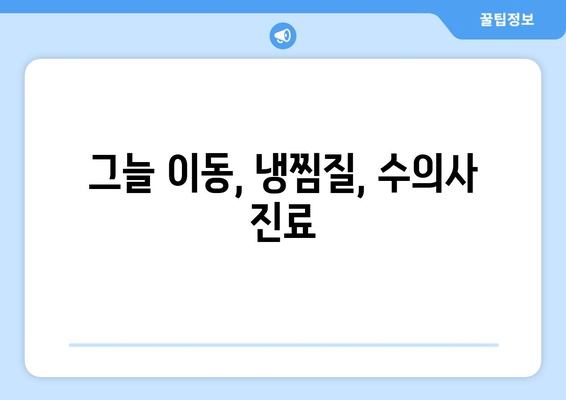 그늘 이동, 냉찜질, 수의사 진료