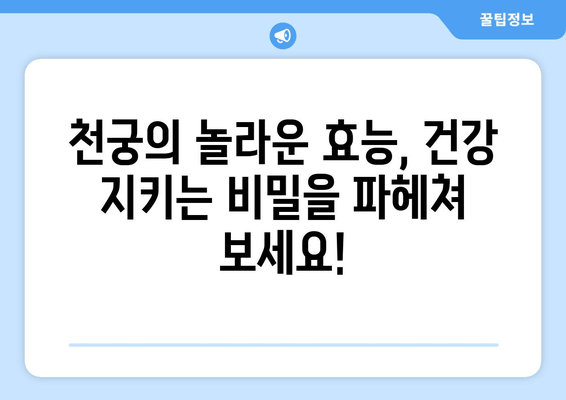 천궁| 각종 공진단 한약의 효능과 효과 완벽 분석 | 천궁 효능, 공진단 효과, 한약 효능, 건강 정보