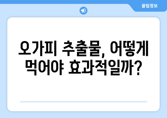 만성 피로 증후군 극복을 위한 오가피 추출물의 효능과 활용법 | 피로 회복, 면역력 강화, 오가피 효능