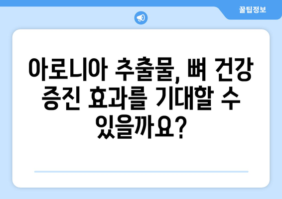 아로니아 추출물, 골 건강 증진에 효과적인 이유 | 아로니아, 골다공증, 건강, 영양