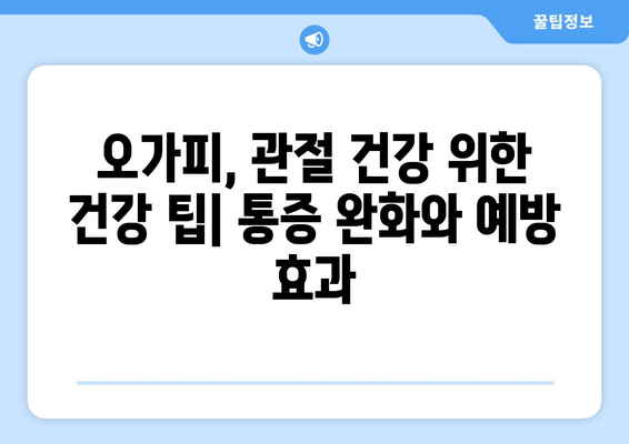 오가피 추출물의 항염증 효과| 관절통 완화를 위한 자연의 솔루션 | 오가피, 관절염, 통증 완화, 건강 팁