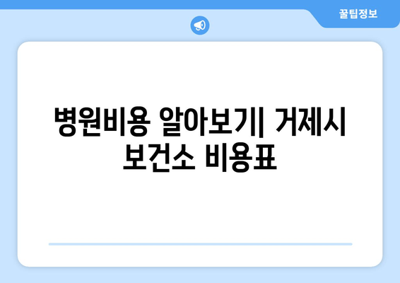 병원비용 알아보기| 거제시 보건소 비용표