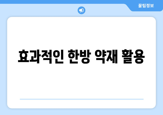 효과적인 한방 약재 활용