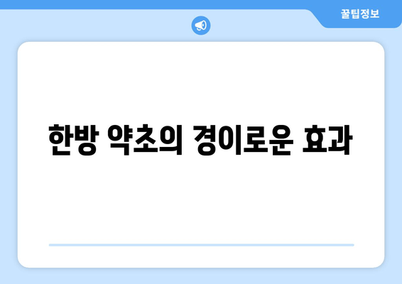 한방 약초의 경이로운 효과