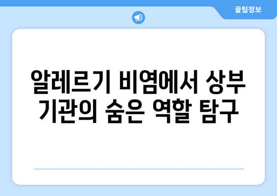 알레르기 비염에서 상부 기관의 숨은 역할 탐구