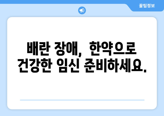 임신 한약| 배란 장애 극복과 착상 성공 위한 맞춤 가이드 | 불임, 난임, 한의학, 자연임신