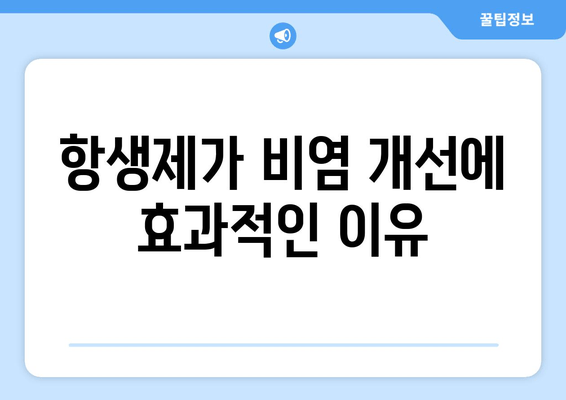 항생제가 비염 개선에 효과적인 이유