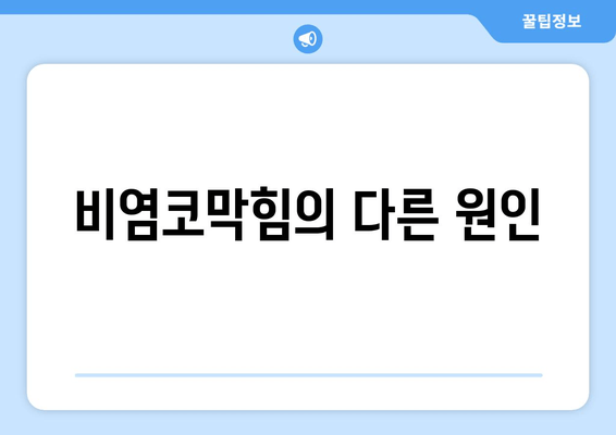 비염코막힘의 다른 원인