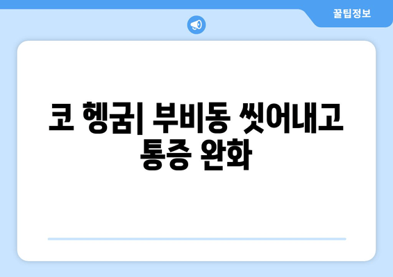 코 헹굼| 부비동 씻어내고 통증 완화